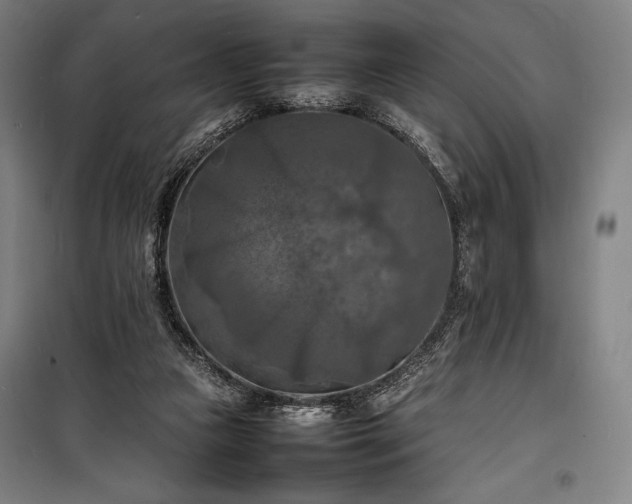 X0000100310161200806121048
