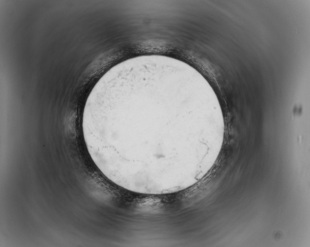 X0000100310162200806121048