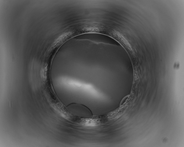X0000100310163200806121048