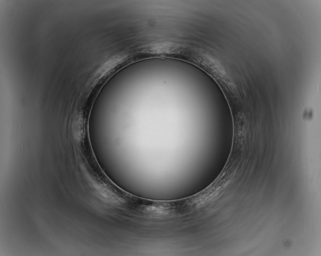 X0000100310164200806121048