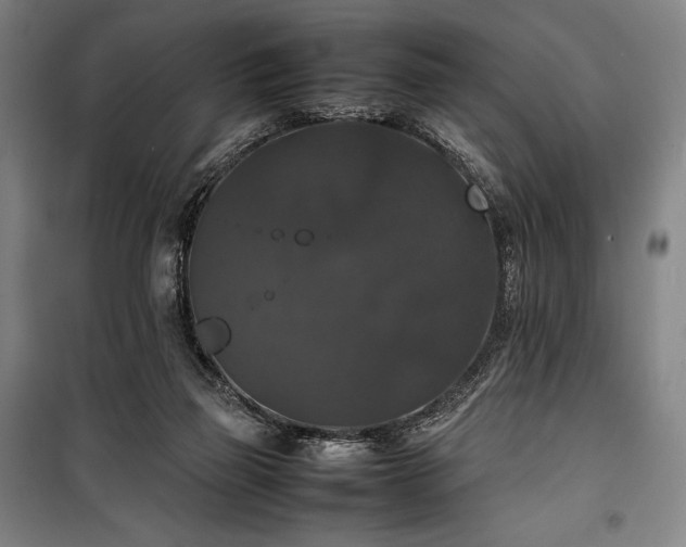 X0000100310165200806121048