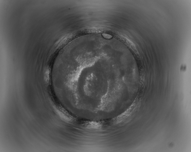 X0000100310166200806121048