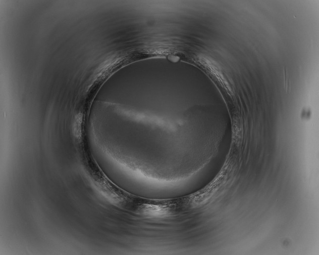 X0000100310167200806121048