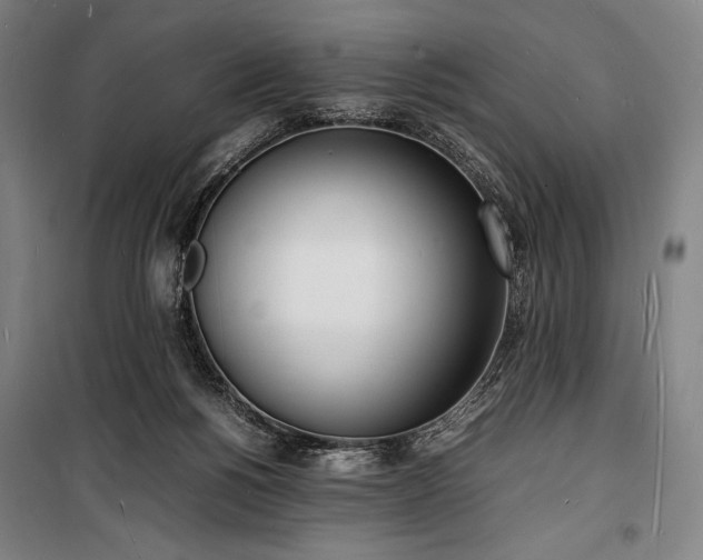X0000100310168200806121049