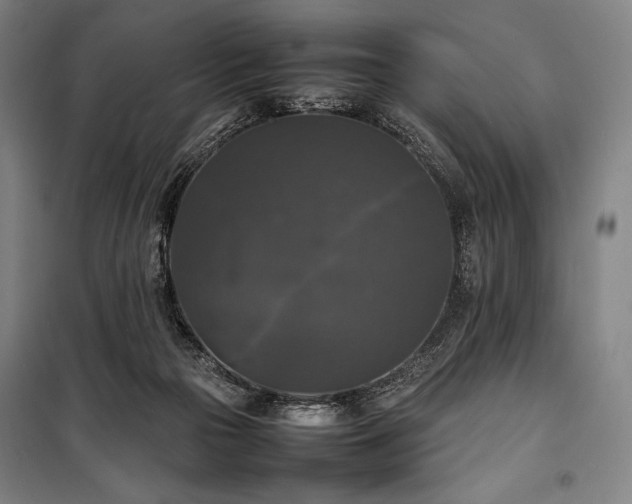 X0000100310169200806121049