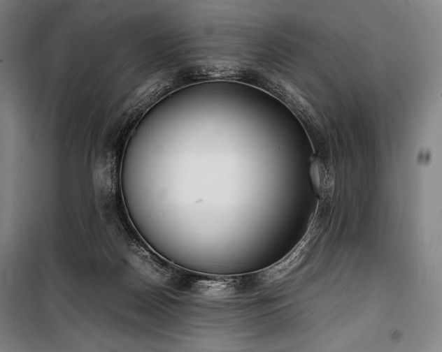 X0000100310170200806121049