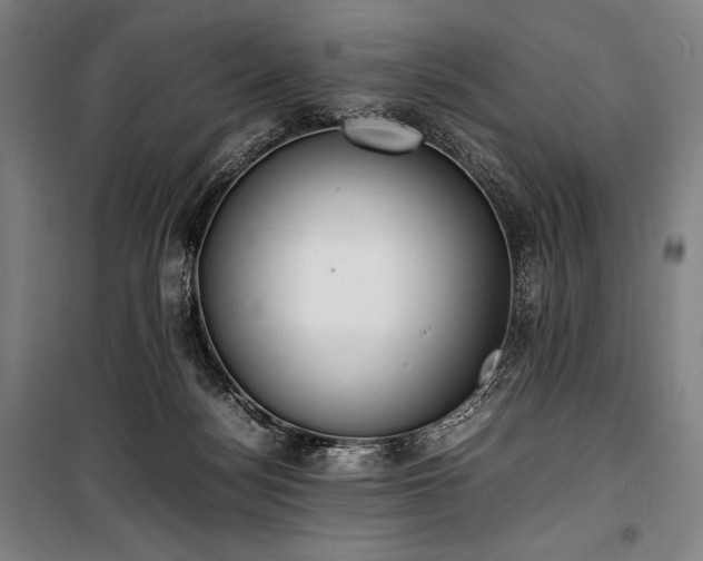 X0000100310172200806121049