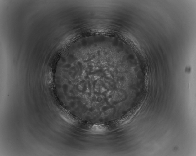 X0000100310173200806121049