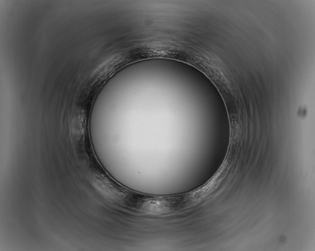 X0000100310174200806121049