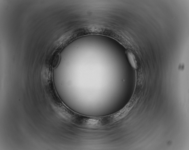 X0000100310176200806121049