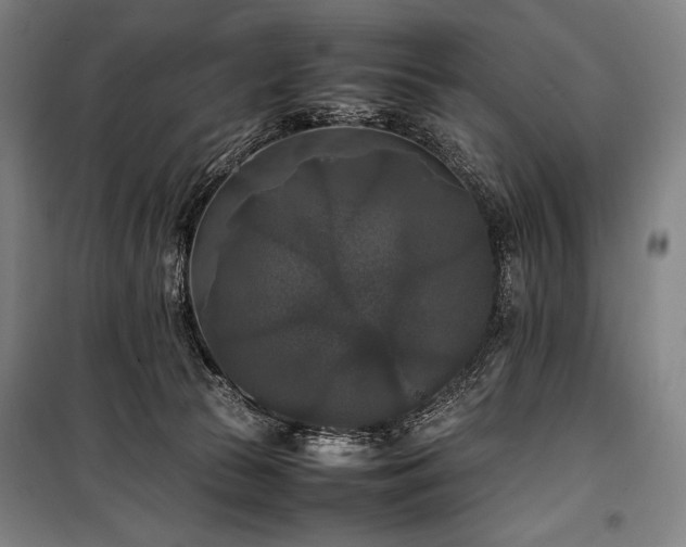 X0000100310177200806121049