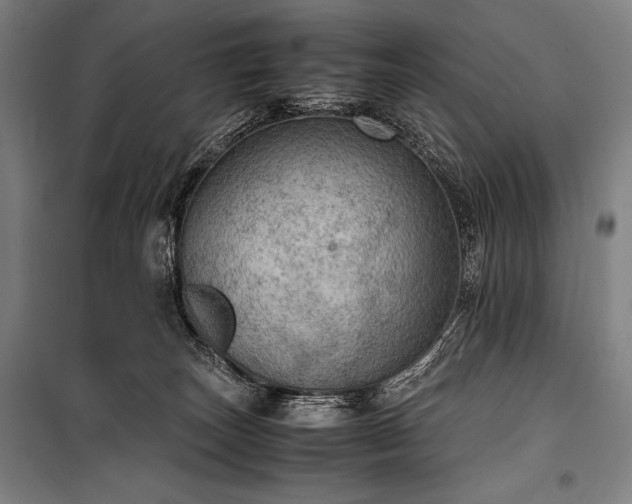 X0000100310179200806121049
