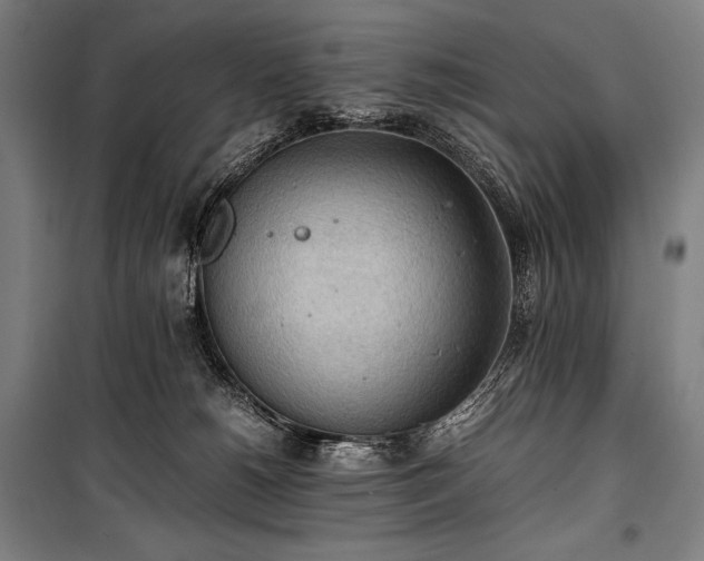 X0000100310180200806121049