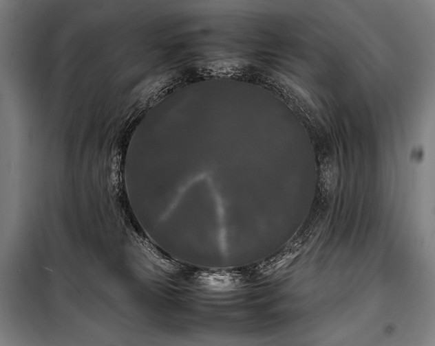 X0000100310181200806121049