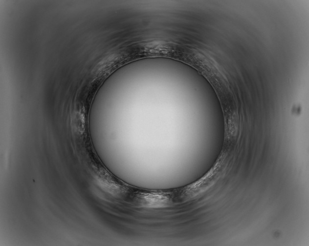X0000100310183200806121049