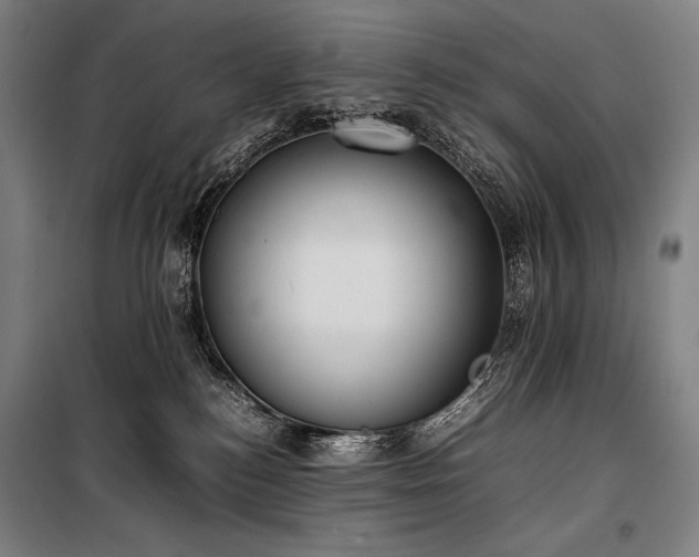 X0000100310184200806121049