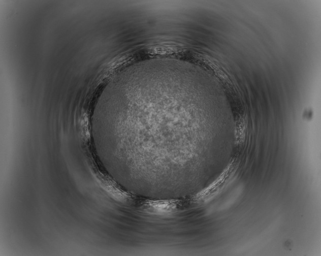 X0000100310187200806121049