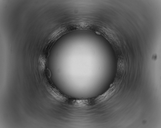 X0000100310188200806121049