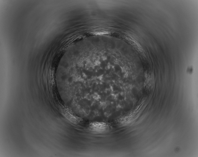 X0000100310189200806121049