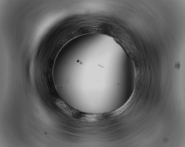 X0000100310190200806121049