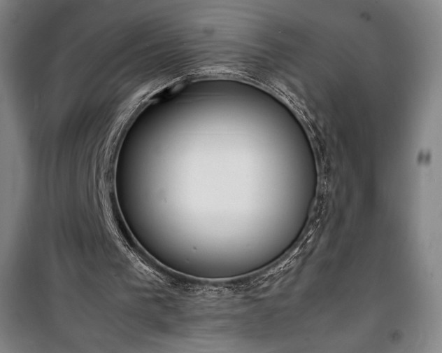 X0000100310193200806121048