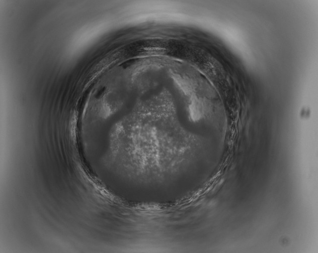 X0000100310194200806121048