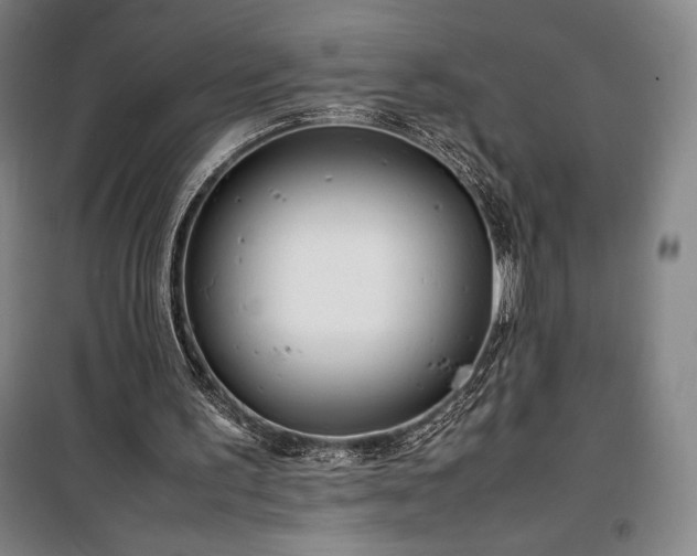X0000100310195200806121048