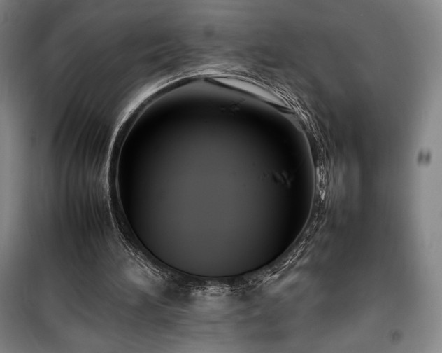 X0000100310196200806121048