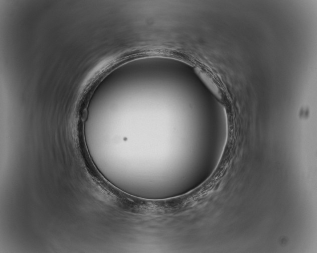 X0000100310197200806121048