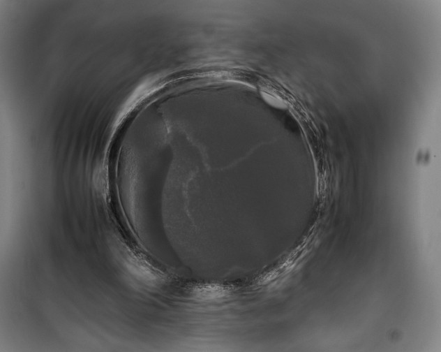 X0000100310198200806121048