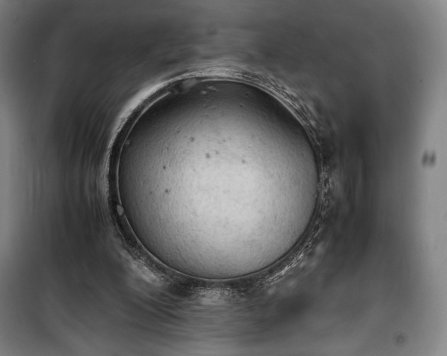 X0000100310200200806121048