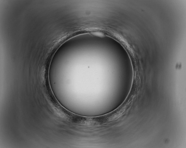 X0000100310201200806121048