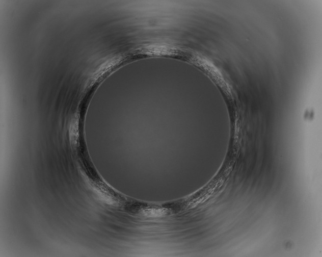 X0000100310202200806121048