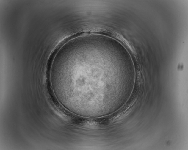 X0000100310203200806121048