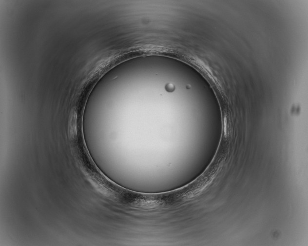 X0000100310205200806121048