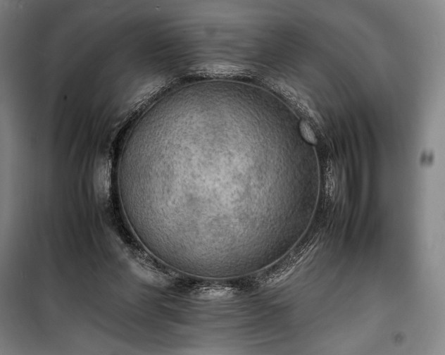 X0000100310206200806121048