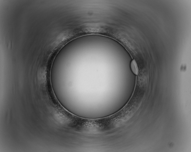 X0000100310207200806121048