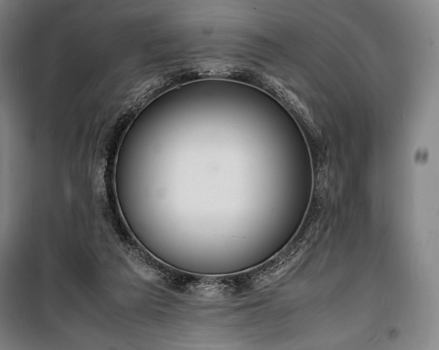 X0000100310209200806121048
