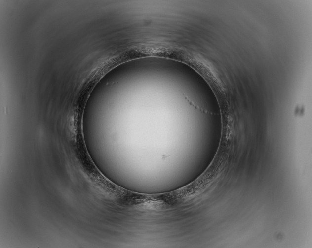 X0000100310210200806121048