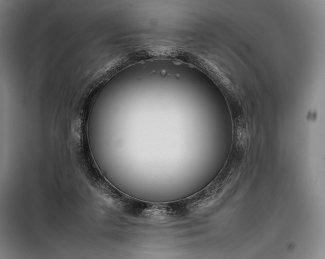 X0000100310211200806121048