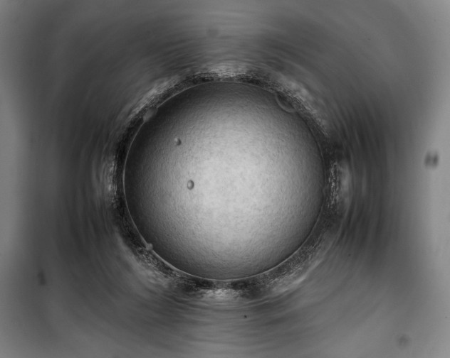 X0000100310212200806121048