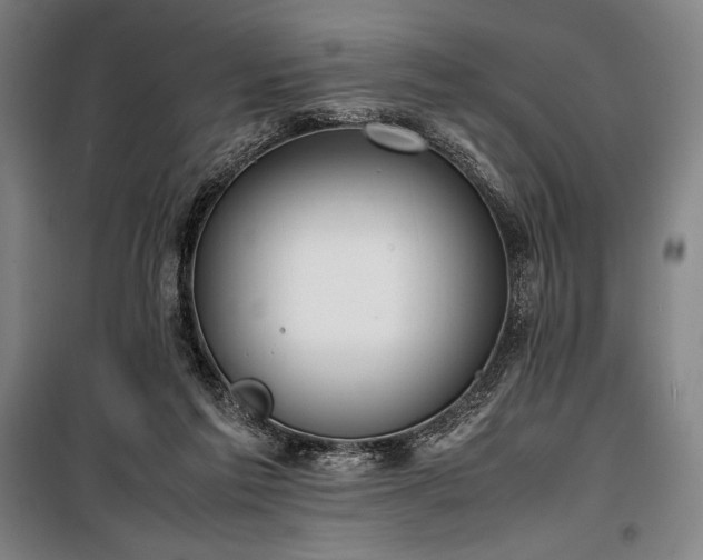 X0000100310213200806121048