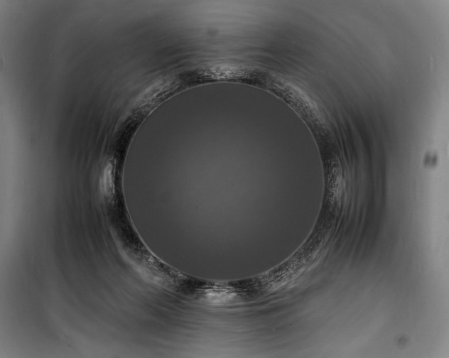 X0000100310214200806121048