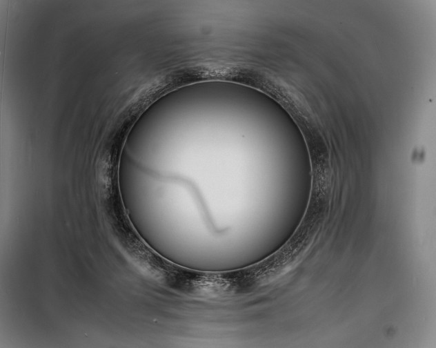 X0000100310215200806121048