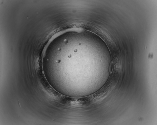 X0000100310216200806121048