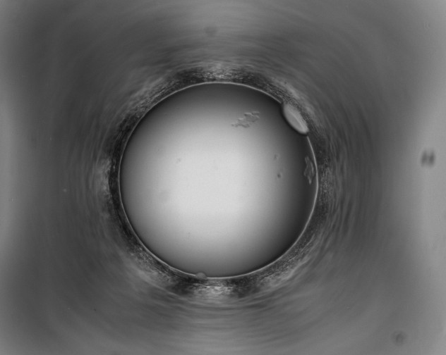 X0000100310217200806121048