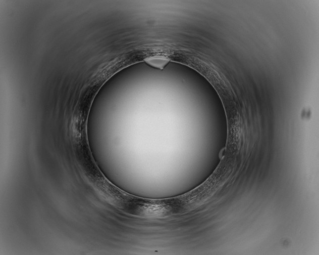 X0000100310218200806121048