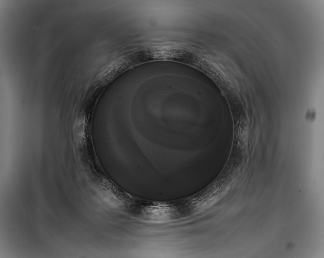 X0000100310219200806121048