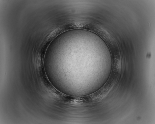 X0000100310220200806121048