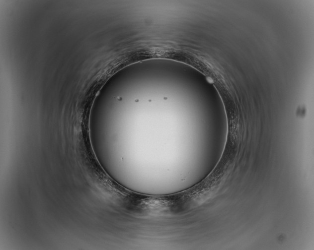 X0000100310221200806121048